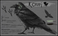 Korppi Ref 2012