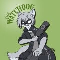Watchdog 2: A New beginning *Hawkeye* 
