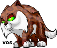 Free Adoptable - Saber Cat - Oca Markings