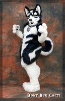 Killah Husky