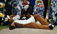 Fursuit group photo finish day EF 17 Photo 4