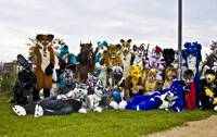 Fursuit group photo finish day EF 17 Photo 6 [HD]