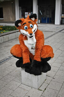 Foxie EF 17 Photo 1 