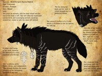 Character Design - vaermina