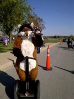 Segway  Fox