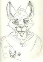 Random Sketch