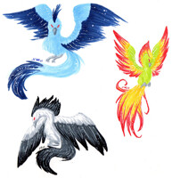 Team Phoenix
