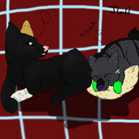 Nom your Tail