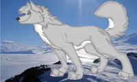 Fursona Andrew the Wolf-Husky