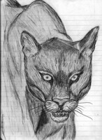 Another charcoal mountain lion