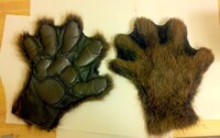Otter paws. 