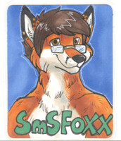 FC Conbadge #3 - Likeshine