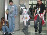 FC 2012 PHOTO Wolf Nurse