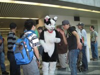 FC 2012 PHOTO Katsuri