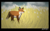 Wheat