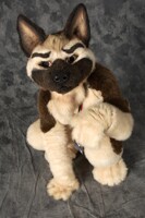 "Won't you adopt me?"