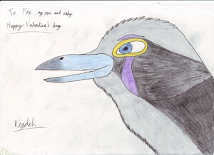 How to Draw a Blue-Footed Booby