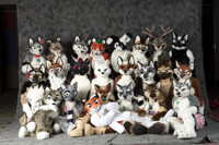 FC2012 One Fur All Photoshoot