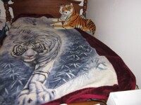 Blanket 1