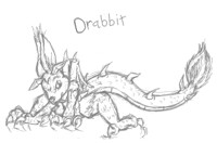 Drabbit