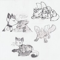 pokeformers - big brother