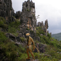 Civwolf wandering around forested mountains area