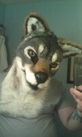 trying on my grey wolf