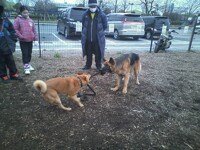 Jhon the Shepherd 03