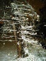 Oct Blizzard 4