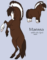 maessa ref 2012