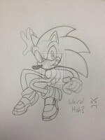 SAWNIK ADDVENTURZZ TWO