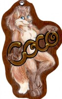 Rainfurrest Badge number 2 2011