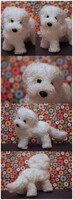 Bichon Frise - Commission