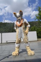 CesFur 2011 photo07