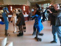 Furries LOVE cameras!