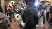 Vancoufur 2012 Promo