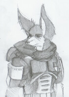 Incubi Wearin Armour