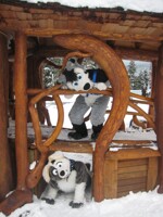 Rally and Qmick on the playground 2