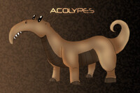 Acolypes