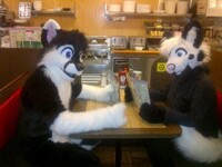 What do cats order at Waffle House?