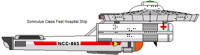 Somnulus Class Fast Hospital Ship 