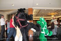 Everyone was Kung-Fu Fighting