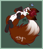 Mitsy Feral ID