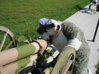 umm how do i work this thing?