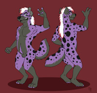 # 11 Tiko Hyena