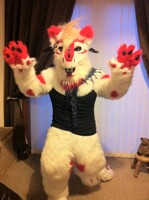 wild Boosh has appeared!