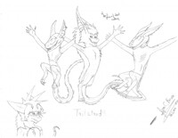 Tail Stands