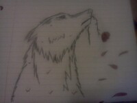 wolf with rose