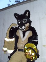 FireFolf