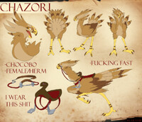 CHAZORI REF